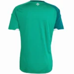 Tailandia Casa Camiseta Irlanda Del Norte 2026 Verde