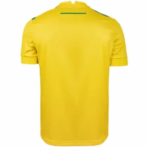 FC Nantes Camiseta 2024 2025 Casa Amarilla - Camiseta Fc Nantes | tiendasdefutboles
