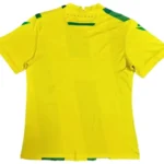 Tailandia Casa Camiseta Nantes 2024 2025 Amarillo