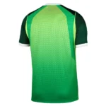 Tailandia Casa Camiseta Nigeria 2026 Verde