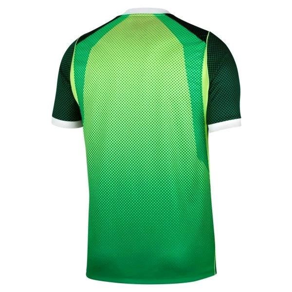 Tailandia Casa Camiseta Nigeria 2026 Verde Nigeria Camiseta 2026 Casa Verde - Camiseta Nigeria | tiendasdefutboles