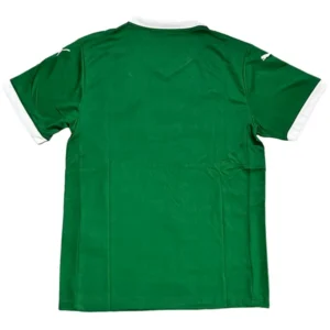 SE Palmeiras Camiseta 2025 2026 Casa Verde - Camiseta Kidsuper X Se Palmeiras Graphic Masculina | tiendasdefutboles