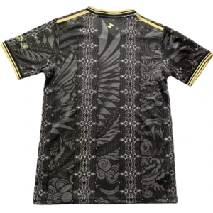 Argentina Camiseta 2026 Especial Negra - Camiseta Argentina | tiendasdefutboles
