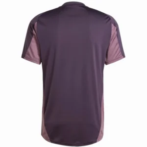 Arsenal Camiseta 2025 2026 Especial Púrpura - Camiseta Arsenal | tiendasdefutboles