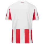 Tailandia Especial Camiseta AS Monaco 2024 2025 Rojo Blanco