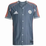 Bayern Múnich Camiseta 2025 2026 Especial Gris - Camiseta Bayern Múnich 2026 | tiendasdefutboles