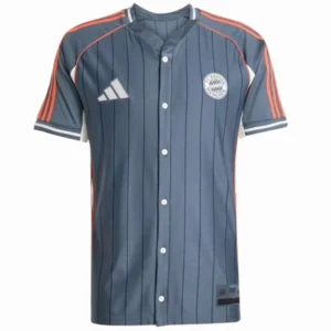 Bayern Múnich Camiseta 2025 2026 Especial Gris - Camiseta Bayern Múnich 2026 | tiendasdefutboles