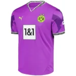 Borussia Dortmund Camiseta 2025 2026 Especial Púrpura - Camiseta Borussia Dortmund | tiendasdefutboles