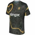 Chelsea Camiseta 2025 2026 Especial Negra - Camiseta Chelsea | tiendasdefutboles