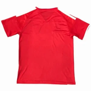 Gales Camiseta 2026 Especial Roja - Camiseta Gales Rugby | tiendasdefutboles