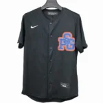 Paris Saint Germain Camiseta 2025 2026 Especial Negra - Camiseta Paris Saint Germain | tiendasdefutboles