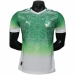 Tailandia Especial Jugadores Camiseta Costa De Marfil 2026 Verde Blanco