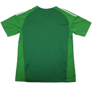 Argentina Camiseta 2026 Portero Verde - Camiseta Argentina | tiendasdefutboles