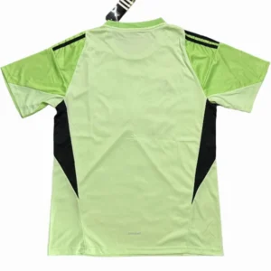 Newcastle United Camiseta 2025 2026 Portero Verde - Camiseta Newcastle United | tiendasdefutboles