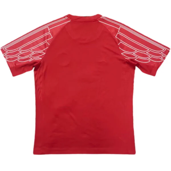 Tailandia Portero Camiseta Paris Saint Germain 2024 2025 Rojo Paris Saint Germain Camiseta 2024 2025 Portero Roja - Camiseta Paris Saint Germain | tiendasdefutboles