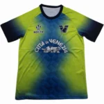 Venezia Camiseta 2024 2025 Portero Verde - Camiseta Serie A Venezia | tiendasdefutboles