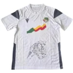 Tailandia Segunda Camiseta Benin 2023 Blanco