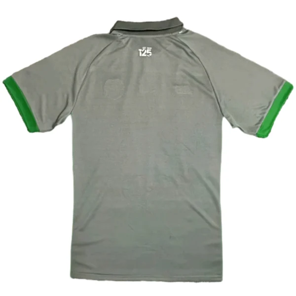 Tailandia Segunda Camiseta Cardiff City 2024 2025 Gris Cardiff City Camiseta 2024 2025 Segunda Gris - Camiseta Cardiff City | tiendasdefutboles