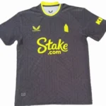 Tailandia Segunda Camiseta Everton 2024 2025 Gris