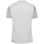Tailandia Segunda Camiseta Werder Bremen 2025 2026 Gris Blanco