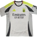 Tailandia Tercera Camiseta Benfica 2024 2025 Gris