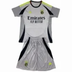SL Benfica Niños Conjunto 2024 2025 Tercera Gris - Tuta SL Benfica Niños | tiendasdefutboles