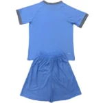 Tercera Conjunto De Niños Cardiff City 2024 2025 Azul