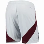 Tercera Pantalones Ajax 2024 2025 Gris