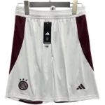 Tercera Pantalones Ajax 2024 2025 Gris