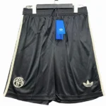 Tercera Pantalones Bayern Múnich 2025 2026 Negro