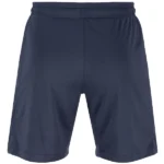 Tercera Pantalones Inter Milán 2025 2026 Gris