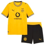 Borussia Dortmund Conjunto 2026 2027 Casa Amarillo - Borussia Dortmund Barata | tiendasdefutboles