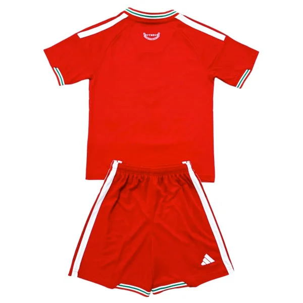 Casa Conjunto De Hombre Gales 2026 Rojo Gales Conjunto 2026 Casa Rojo - Gales Barata | tiendasdefutboles