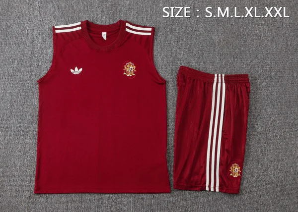 Entrenamiento Sin Mangas Conjunto Completo Argentina 2026 Borgona Argentina Conjunto 2026 - Argentina Barata | tiendasdefutboles