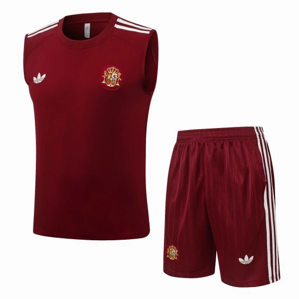 Entrenamiento Sin Mangas Conjunto Completo Argentina 2026 Borgona Argentina Conjunto 2026 - Argentina Barata | tiendasdefutboles