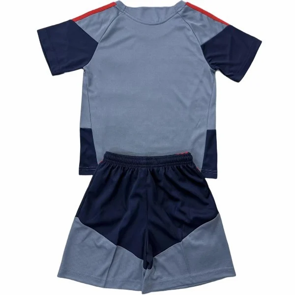 Especial Conjunto De Hombre Bayern Múnich 2026 2027 Gris Bayern Múnich Conjunto 2026 2027 Especial Gris - Bayern Múnich Barata | tiendasdefutboles