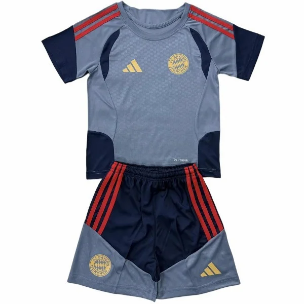Especial Conjunto De Hombre Bayern Múnich 2026 2027 Gris Bayern Múnich Conjunto 2026 2027 Especial Gris - Bayern Múnich Barata | tiendasdefutboles