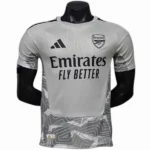Portero Jugadores Camiseta Arsenal 2026 2027 Gris