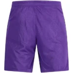 Segunda Pantalones Barcelona 2026 2027 Purpura