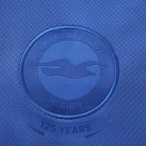 Tailandia Especial Camiseta Brighton 2026 2027 Azul Brighton & Hove Albion Camiseta 2026 2027 Especial Azul - Camiseta Brighton & Hove Albion | tiendasdefutboles
