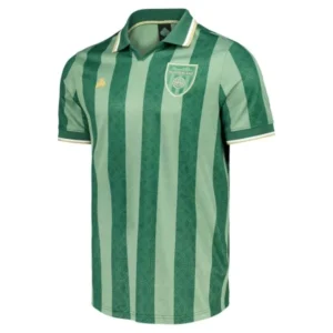 Sunderland Camiseta 2026 2027 Especial Verde - Camiseta Sunderland | tiendasdefutboles