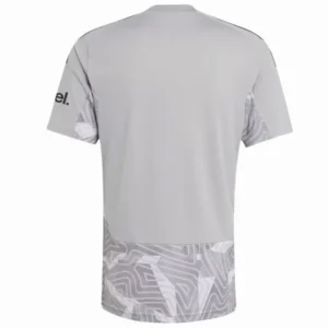 Arsenal Camiseta 2026 2027 Portero Gris - Camiseta Arsenal | tiendasdefutboles