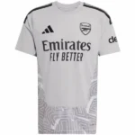 Arsenal Camiseta 2026 2027 Portero Gris - Camiseta Arsenal | tiendasdefutboles